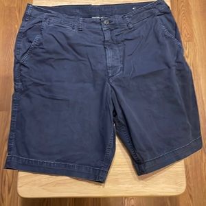 American Eagle Outfitters Flat Front Shorts